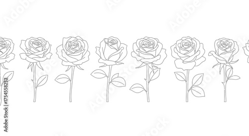 Seamless rose pattern isolated on white background for design and decoration