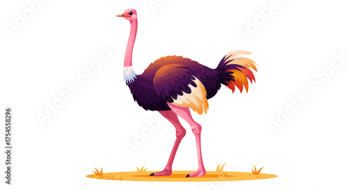 Cartoon Ostrich Standing on Ground with Grass