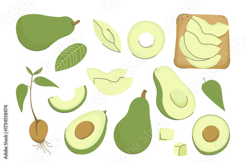 Whole, halved, and sliced avocado, plant leaf, growing seedling, ripe diet fruit prepared for eating