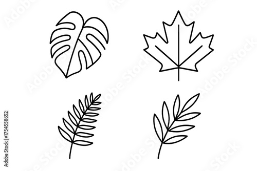 Simple line art collection of tropical and temperate leaves including Monstera and Maple