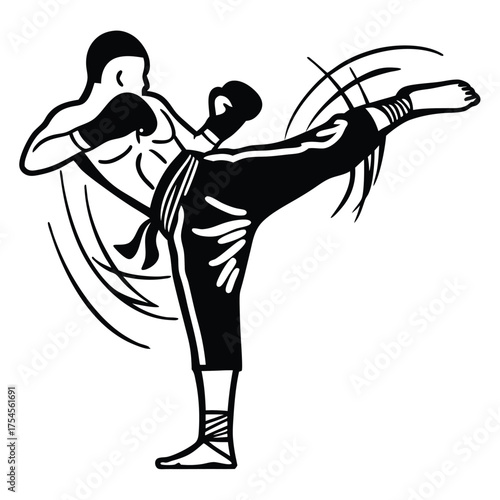 Martial arts silhouette isolated on transparent background