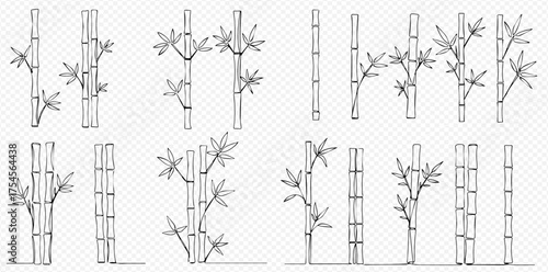 Hand-drawn sketch set of various bamboo stalks and leaves, illustrating different growth patterns and individual elements on a transparent background.