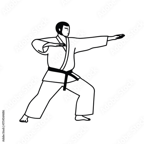 Martial arts silhouette isolated on transparent background