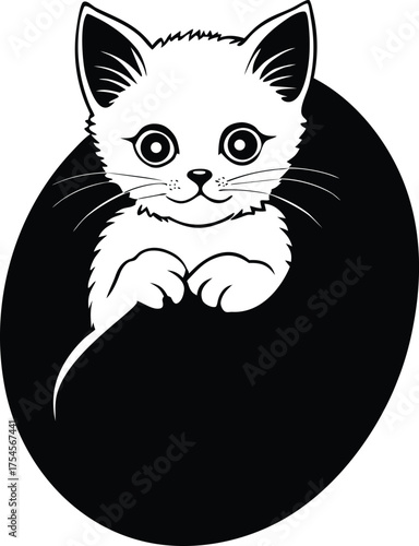 Adorable fluffy white kitten nestled in a dark round shape