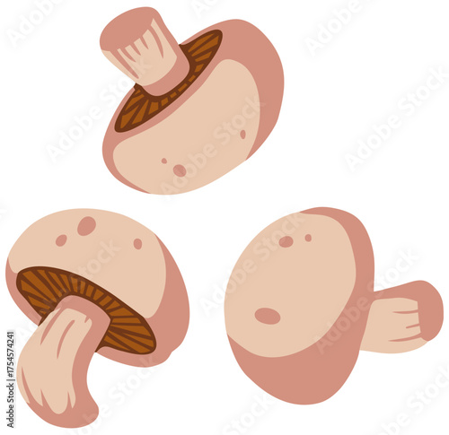 Champignon Mushrooms Illustration. Editable Color Vector