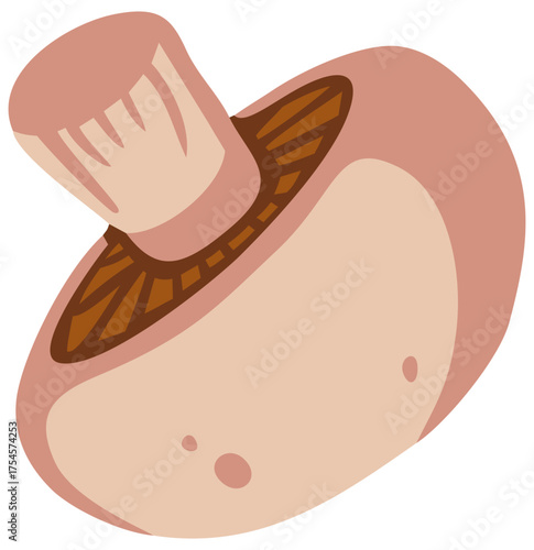 Falling Champignon Mushroom Illustration. Editable Color Vector