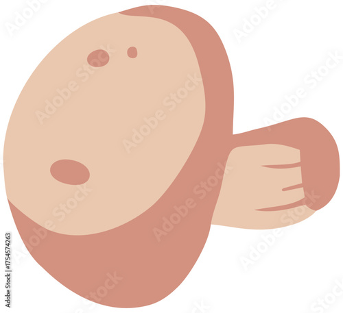 Sliced Champignon Mushroom Illustration. Editable Color Vector