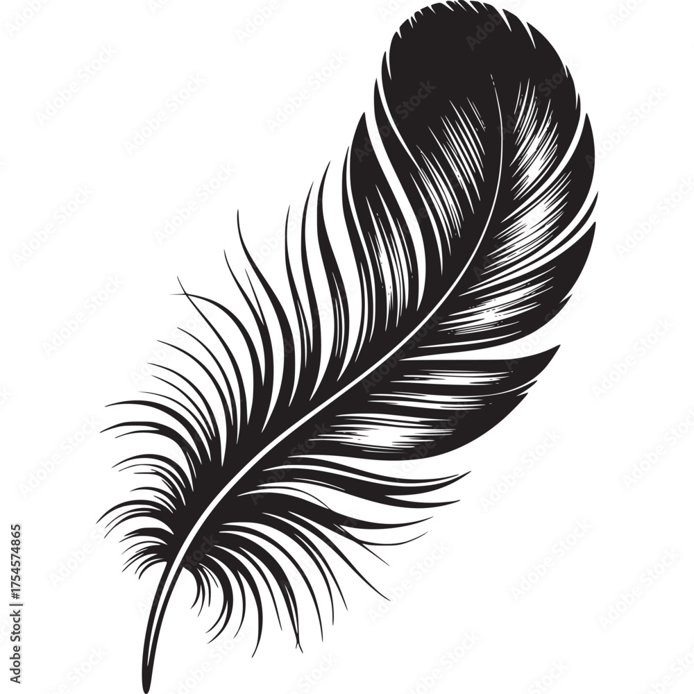 Obraz premium Vector art of black feather