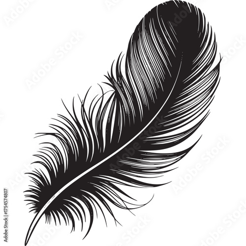 Vector art of black feather