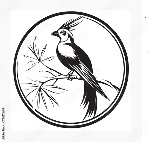 elegant bird of paradise vector image