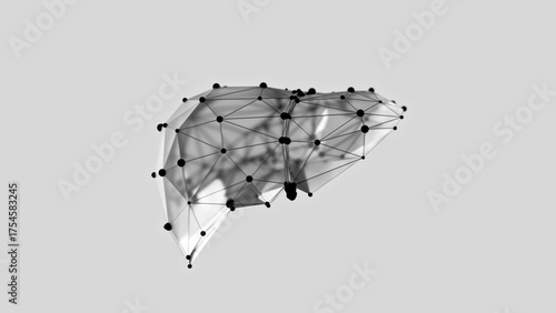 3d render of low-poly liver over white background. Liver wireframe made of balck points. 3d illustration