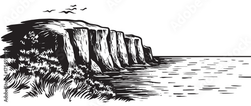Black and white ocean cliff landscape silhouette featuring rocky coastal formations, vegetation, and birds soaring above the sea. Minimalist nature illustration ideal for posters, travel graphics, env