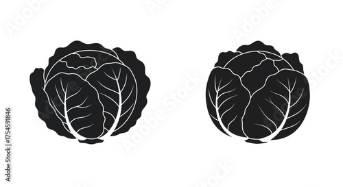Detailed black and white illustration of two fresh cabbage heads