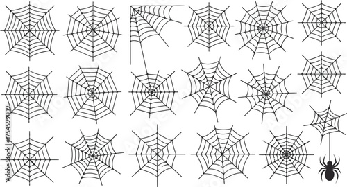 Black Spider Web and Spider Halloween Vector Set