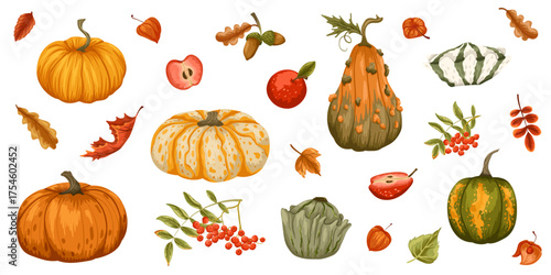 Autumn harvest set with various pumpkins, colorful leaves, rowan berries and apples isolated on white background. Vector hand drawn illustration for seasonal design, packaging, stickers, wrapping