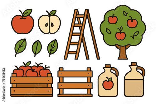Apple harvesting elements including fresh fruit, tree, wooden ladder, storage crate, and cider jugs