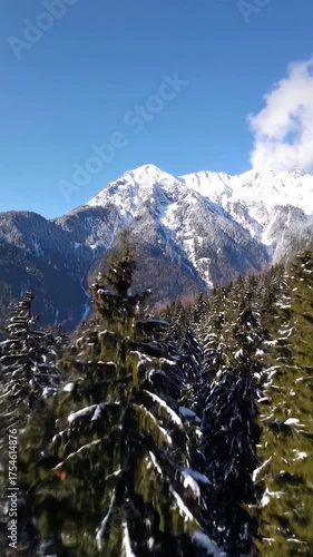 Stunning winter landscape with snow-dusted evergreen trees contrasting against majestic white mountains