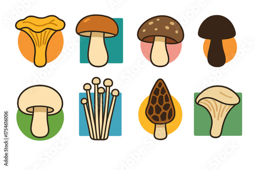 Colorful set of eight edible mushroom icons including chanterelle, porcini, and morel varieties