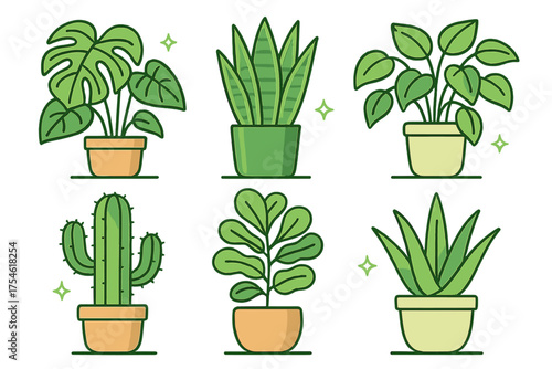 Set of six popular indoor houseplants including Monstera Snake Plant Cactus and Aloe Vera