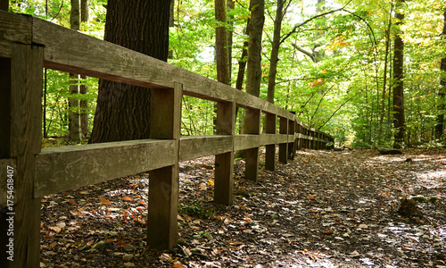 ŚCIEŻKA HOCHBERGÓW