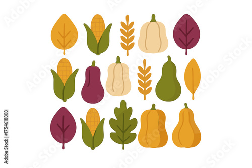 Autumn harvest of pumpkins squash corn and colorful fall leaves on white background
