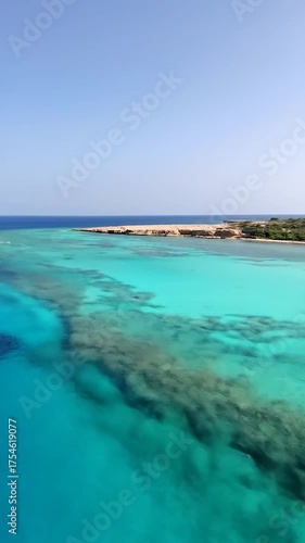 A vibrant blue ocean meets a clear sky, with shallow turquoise water near a rocky desert coastline