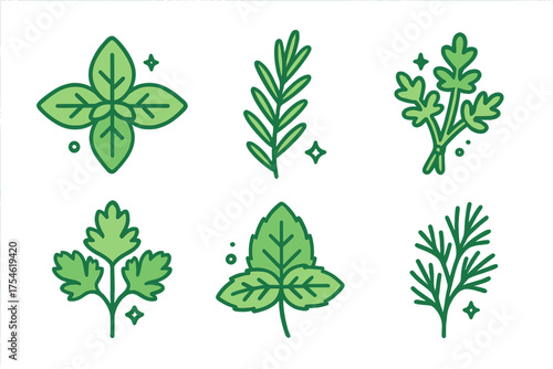 Collection of aromatic culinary herbs: basil, rosemary, parsley, mint, and dill
