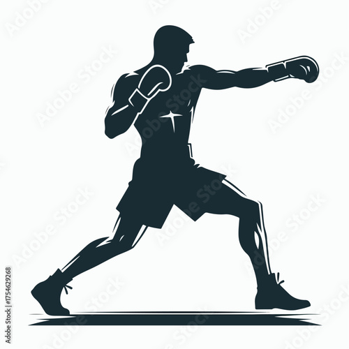 silhouette of a boxer