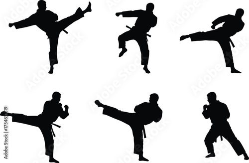 Martial arts silhouette, karate kick, taekwondo pose, self defense training, combat sport, fighter stance, martial discipline, flat vector illustration