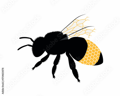Closeup macro of a honey bee on a flower, with a secondary image of the insect isolated on a white background, showing its yellow and black stripes, wings, and summer flight in nature