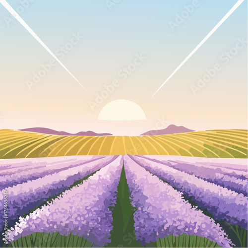 A meadow of blooming lavender flowers stretching into the horizon, surrounded by warm morning sunlight.