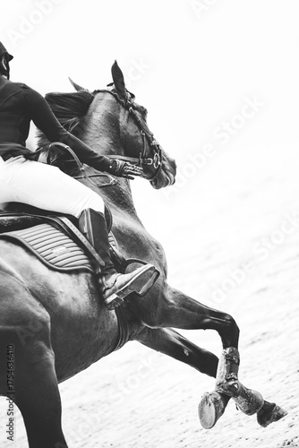 Black and white equestrian action