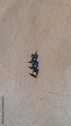 Minimalist top-down horse shadows