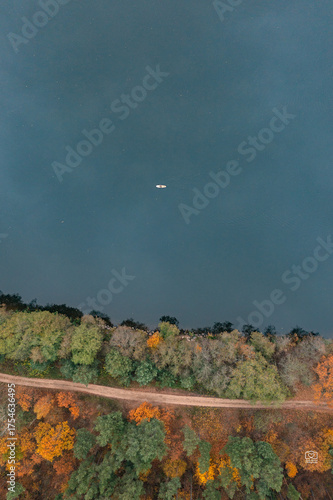 Top-down forest shoreline and SUP