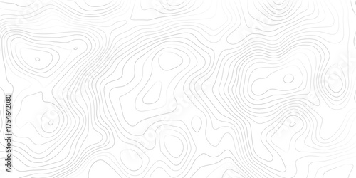 Topography background. Vector banner. Topography map background. Vector geographic contour map. Background of the topographic map. Topographic map lines, contour background. 