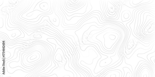 Topography background. Vector banner. Topography map background. Vector geographic contour map. Background of the topographic map. Topographic map lines, contour background. 