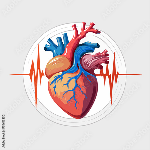Anatomical Illustration of a Human Heart with a Red EKG Waveform Surrounded by a Circular Design