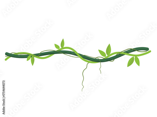 Twisted wild lianas branches, jungle liana with leaves