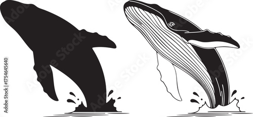 Humpback Whale Breaching Silhouette Vector Design