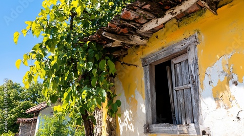 Podobny obraz