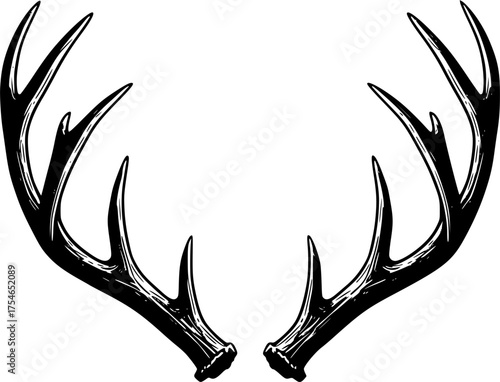 Detailed black and white illustration of deer antlers facing each other. Vector illustration
