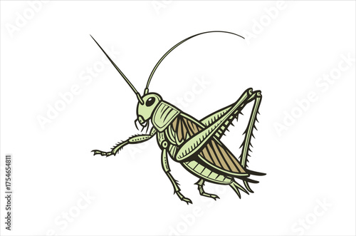 insect vector,  icon vector illustration, insect silhouette of a insect  isolated on a white background, eps, png, svg,  vector,