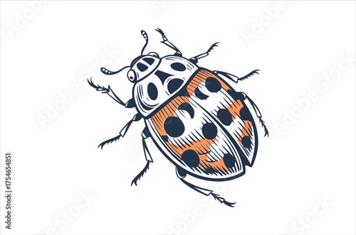 insect vector,  icon vector illustration, insect silhouette of a insect  isolated on a white background, eps, png, svg,  vector,