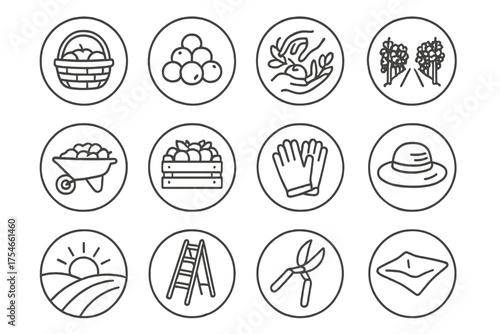 Harvest Season Icons. Line style round icons of harvest season: basket, fruit pile, hands picking, vine row; wheelbarrow, full