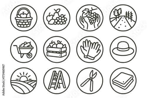 Harvest Season Icons. Line style round icons of harvest season: basket, fruit pile, hands picking, vine row; wheelbarrow, full