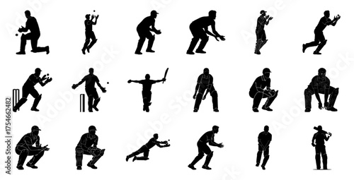 Cricket players in action silhouettes sport