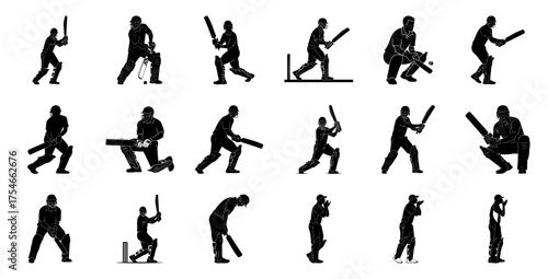 Cricket players in various poses batsman bowler