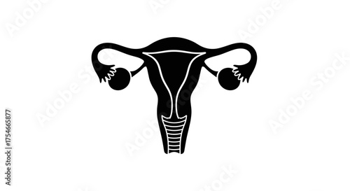 Black Silhouette of Female Reproductive System Anatomy.