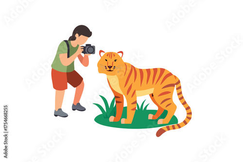 A photographer carefully captures a majestic tiger in its natural habitat