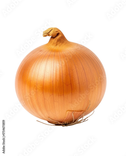 Wallpaper Mural Single Onion, Isolated, Cutout, Transparent PNG Torontodigital.ca